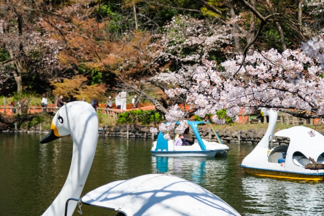 井の頭公園