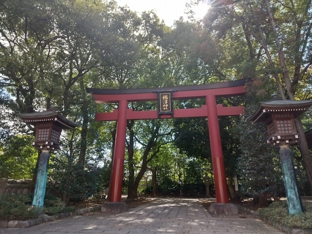 根津神社
