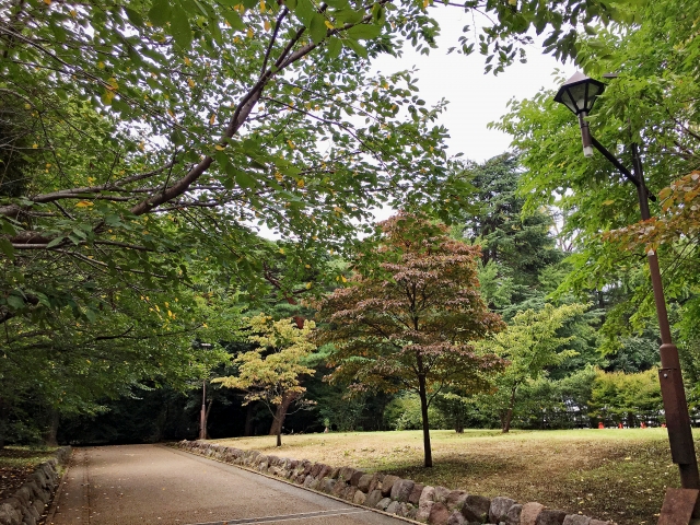 中野区立江古田の森公園