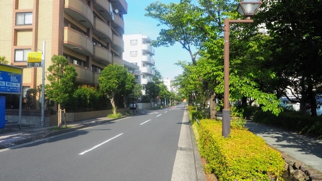 葛西親水四季の道の並木道