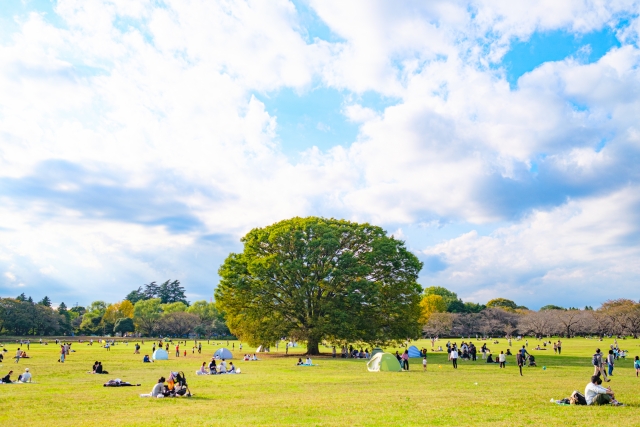 国営昭和記念公園の広場