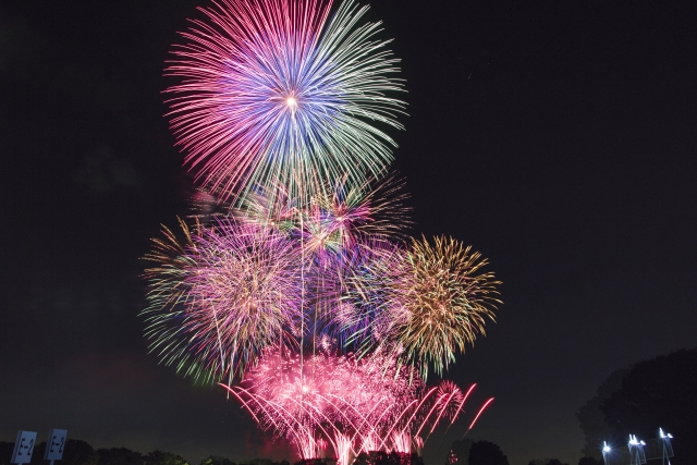 国営昭和記念公園花火大会の花火