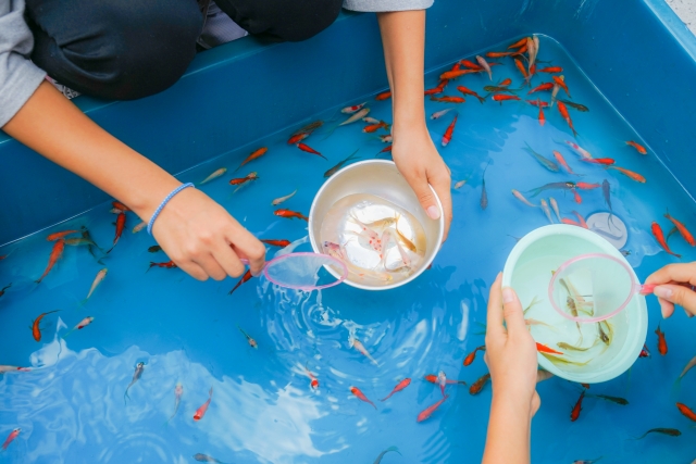 金魚すくい中の人