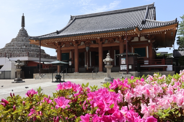 花が咲き誇る壬生寺